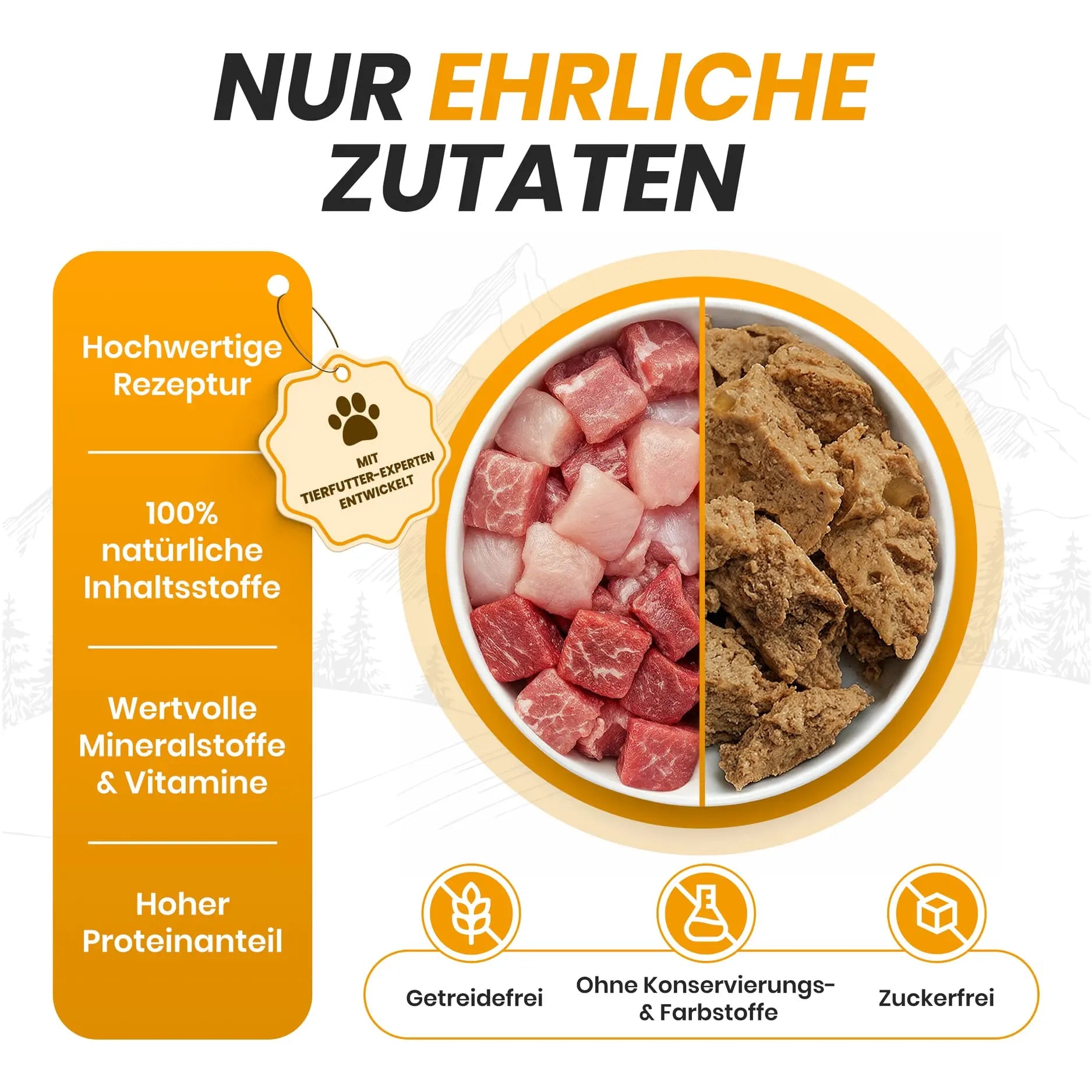 Hungry Lions - Hochwertiges BIO Katzenfutter