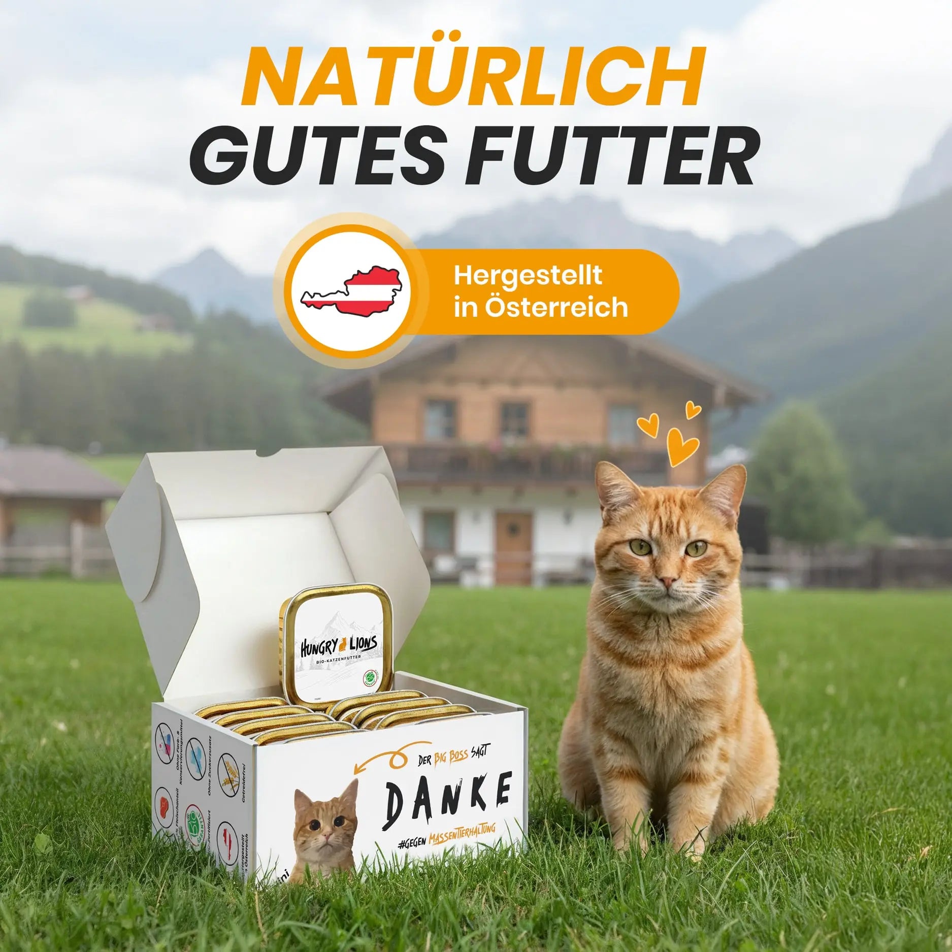 Hungry Lions - Hochwertiges BIO Katzenfutter